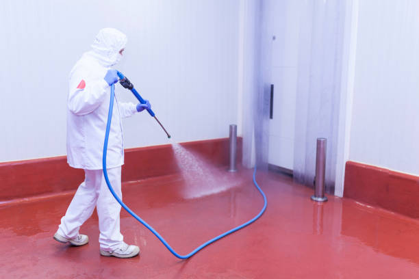 Best Sidewalk and Walkway Cleaning  in Ridley Rk, PA